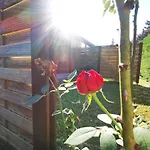 Vali Neni Kifozde Es * Kismaros
