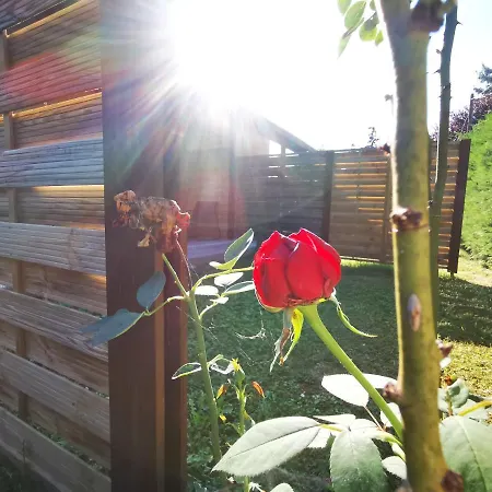 Vali Neni Kifozde Es * Kismaros