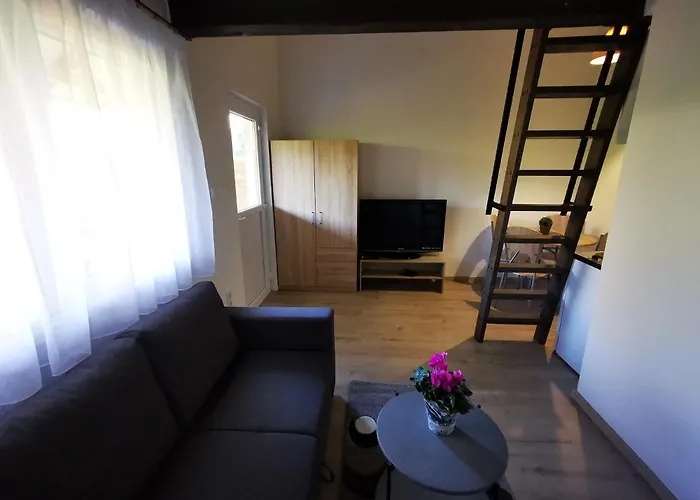 Vali Neni Kifozde Es Apartament Kismaros