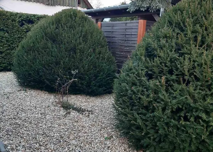 Vali Neni Kifozde Es Apartament Kismaros